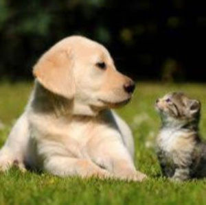 Meet your Posher, Lauryn